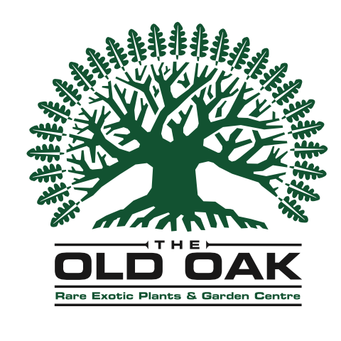 the_old_oak_nursery.png